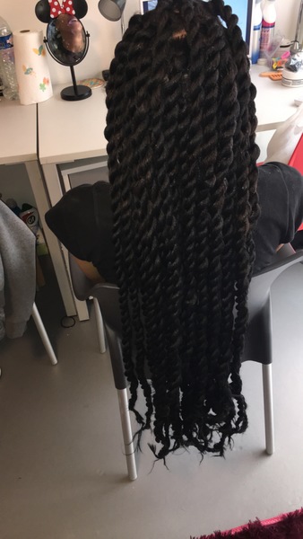 salon de coiffure afro tresse tresses box braids crochet braids vanilles tissages paris 75 77 78 91 92 93 94 95 TFJNWLHP