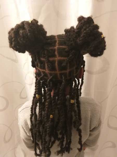 salon de coiffure afro tresse tresses box braids crochet braids vanilles tissages paris 75 77 78 91 92 93 94 95 ZZSDQBWM