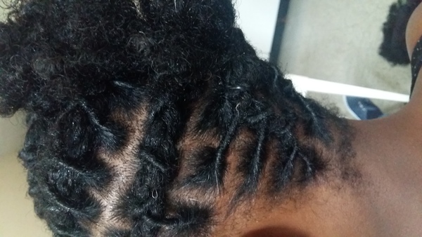 salon de coiffure afro tresse tresses box braids crochet braids vanilles tissages paris 75 77 78 91 92 93 94 95 LTDFFWSV