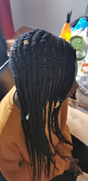 salon de coiffure afro tresse tresses box braids crochet braids vanilles tissages paris 75 77 78 91 92 93 94 95 VFEYKHYY