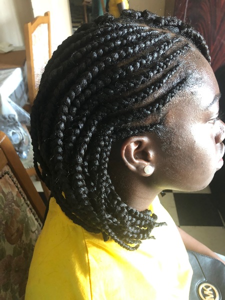 salon de coiffure afro tresse tresses box braids crochet braids vanilles tissages paris 75 77 78 91 92 93 94 95 YSLPDIQN