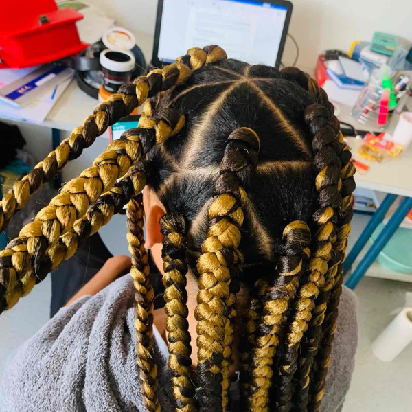 salon de coiffure afro tresse tresses box braids crochet braids vanilles tissages paris 75 77 78 91 92 93 94 95 WALYRVRN