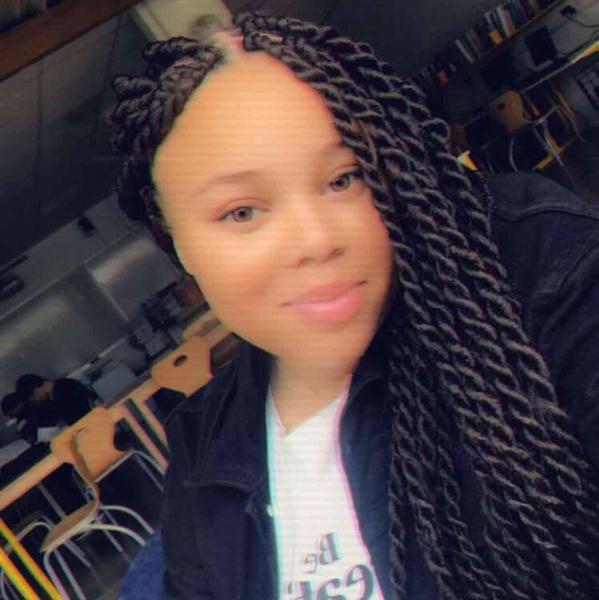 salon de coiffure afro tresse tresses box braids crochet braids vanilles tissages paris 75 77 78 91 92 93 94 95 HSFEOVDD