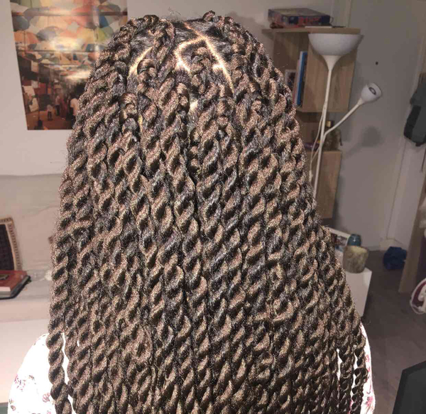 salon de coiffure afro tresse tresses box braids crochet braids vanilles tissages paris 75 77 78 91 92 93 94 95 OJYKMFFD
