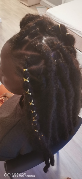 salon de coiffure afro tresse tresses box braids crochet braids vanilles tissages paris 75 77 78 91 92 93 94 95 WFUKJZGS