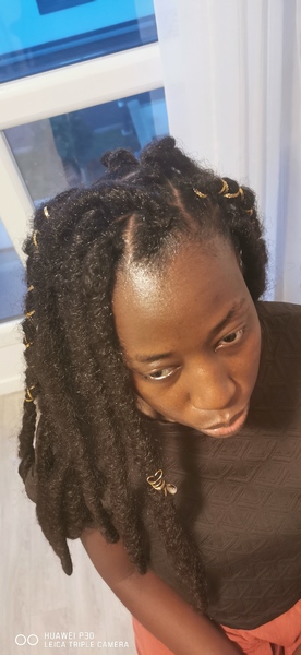 salon de coiffure afro tresse tresses box braids crochet braids vanilles tissages paris 75 77 78 91 92 93 94 95 LJDNERQI