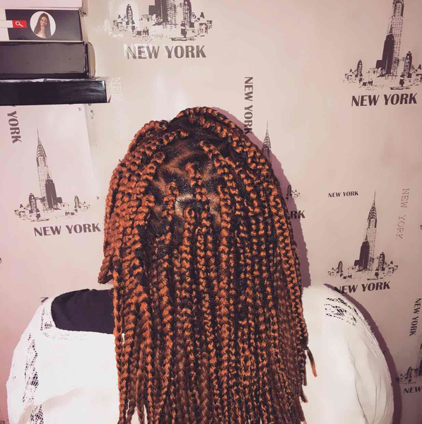 salon de coiffure afro tresse tresses box braids crochet braids vanilles tissages paris 75 77 78 91 92 93 94 95 EXPJXBOL