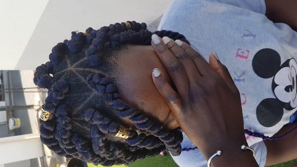 salon de coiffure afro tresse tresses box braids crochet braids vanilles tissages paris 75 77 78 91 92 93 94 95 NLXANPMD