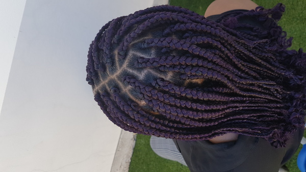 salon de coiffure afro tresse tresses box braids crochet braids vanilles tissages paris 75 77 78 91 92 93 94 95 AWUREGFL