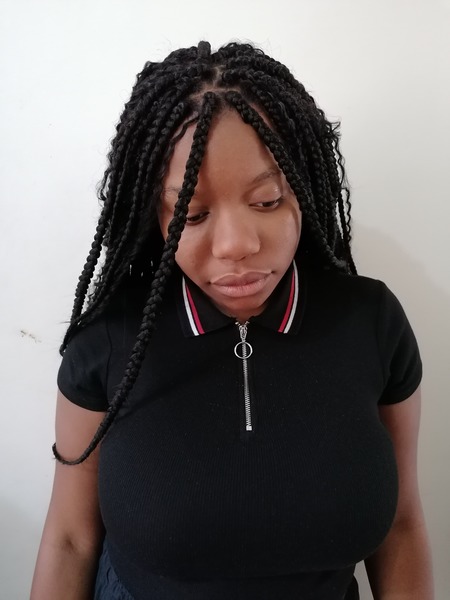 salon de coiffure afro tresse tresses box braids crochet braids vanilles tissages paris 75 77 78 91 92 93 94 95 PNXTHKOA