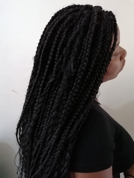 salon de coiffure afro tresse tresses box braids crochet braids vanilles tissages paris 75 77 78 91 92 93 94 95 MBGASUNX