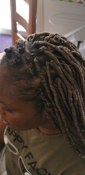 salon de coiffure afro tresse tresses box braids crochet braids vanilles tissages paris 75 77 78 91 92 93 94 95 GQMNMVMY