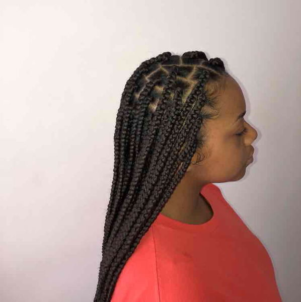 salon de coiffure afro tresse tresses box braids crochet braids vanilles tissages paris 75 77 78 91 92 93 94 95 CWWHXSDC