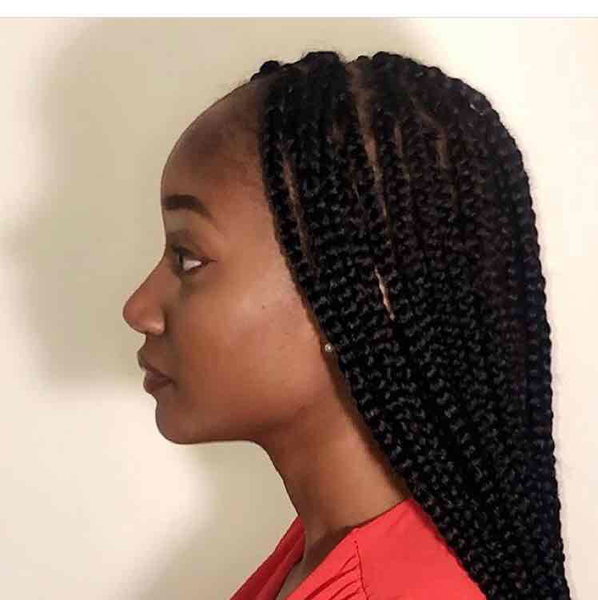 salon de coiffure afro tresse tresses box braids crochet braids vanilles tissages paris 75 77 78 91 92 93 94 95 IBLWFIRK