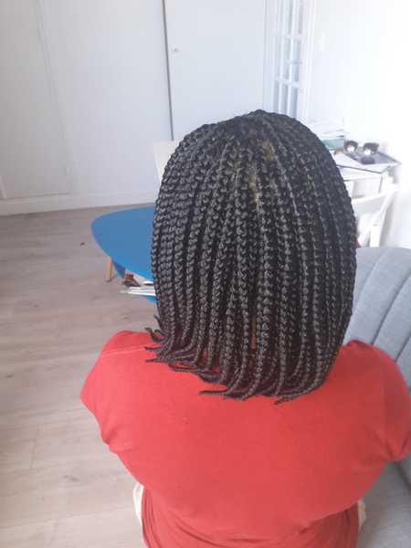 salon de coiffure afro tresse tresses box braids crochet braids vanilles tissages paris 75 77 78 91 92 93 94 95 EDGTFSRZ