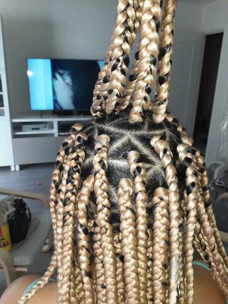 salon de coiffure afro tresse tresses box braids crochet braids vanilles tissages paris 75 77 78 91 92 93 94 95 SJSQFLJS