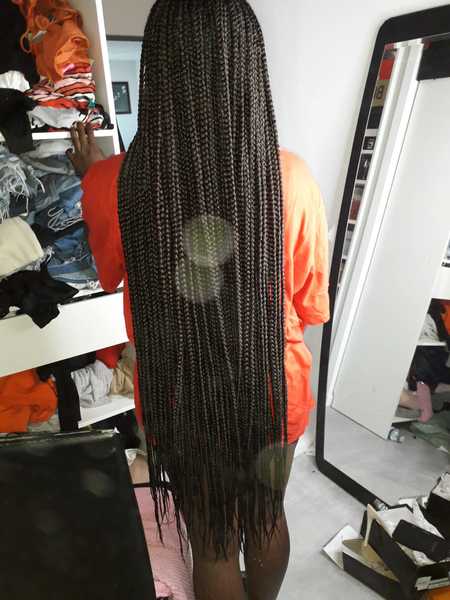 salon de coiffure afro tresse tresses box braids crochet braids vanilles tissages paris 75 77 78 91 92 93 94 95 CSWSZRXV