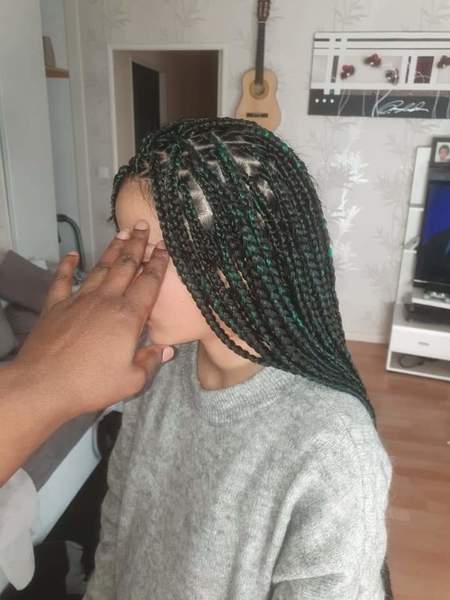 salon de coiffure afro tresse tresses box braids crochet braids vanilles tissages paris 75 77 78 91 92 93 94 95 LRKBQNDW