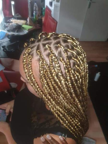 salon de coiffure afro tresse tresses box braids crochet braids vanilles tissages paris 75 77 78 91 92 93 94 95 XFCYXYVX