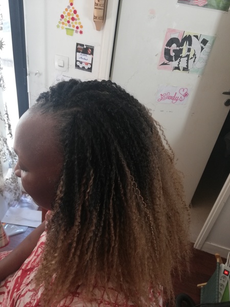 salon de coiffure afro tresse tresses box braids crochet braids vanilles tissages paris 75 77 78 91 92 93 94 95 TPJCFWPM