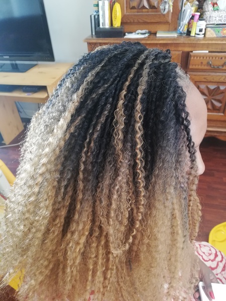 salon de coiffure afro tresse tresses box braids crochet braids vanilles tissages paris 75 77 78 91 92 93 94 95 RCEJRRNJ