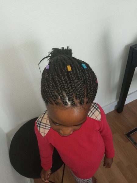 salon de coiffure afro tresse tresses box braids crochet braids vanilles tissages paris 75 77 78 91 92 93 94 95 FEOJQGLE