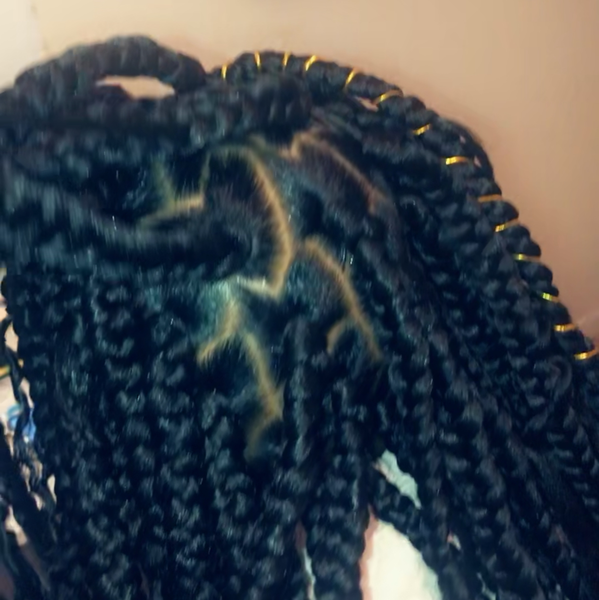 salon de coiffure afro tresse tresses box braids crochet braids vanilles tissages paris 75 77 78 91 92 93 94 95 BSIUIIGV