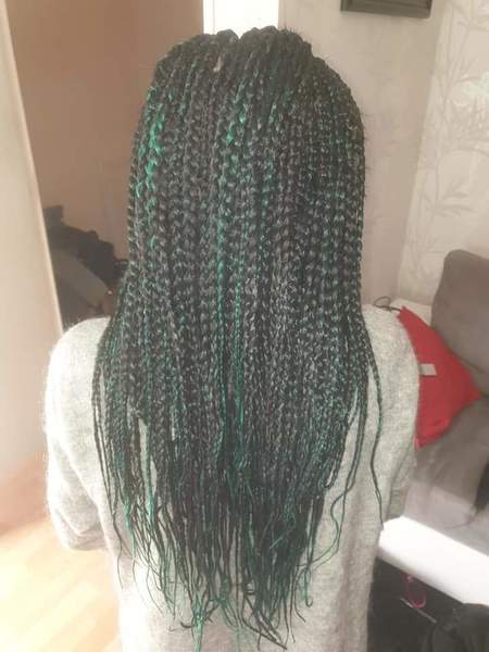 salon de coiffure afro tresse tresses box braids crochet braids vanilles tissages paris 75 77 78 91 92 93 94 95 YUHTIOFJ
