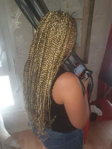 salon de coiffure afro tresse tresses box braids crochet braids vanilles tissages paris 75 77 78 91 92 93 94 95 DETXEVDD