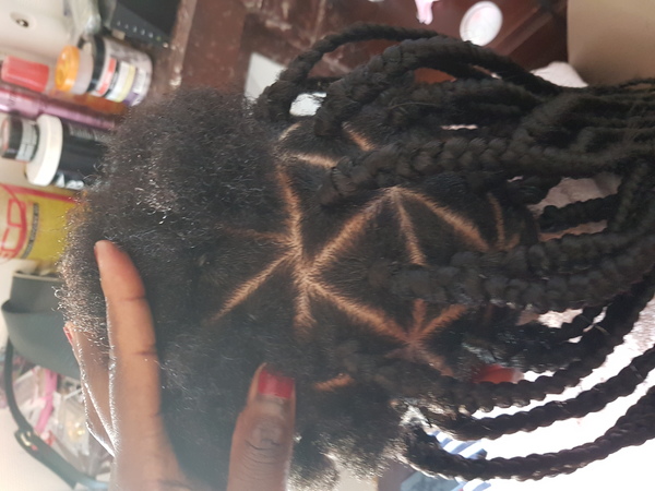 salon de coiffure afro tresse tresses box braids crochet braids vanilles tissages paris 75 77 78 91 92 93 94 95 BHTZHAHA