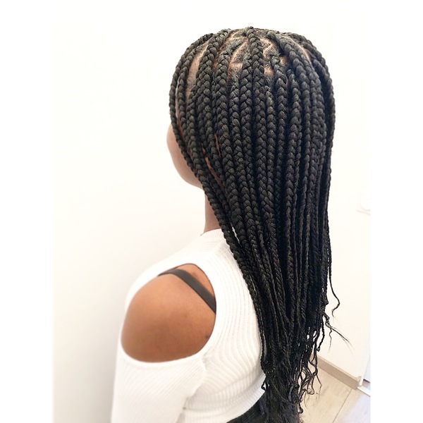 salon de coiffure afro tresse tresses box braids crochet braids vanilles tissages paris 75 77 78 91 92 93 94 95 DQTEYJDL