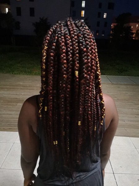 salon de coiffure afro tresse tresses box braids crochet braids vanilles tissages paris 75 77 78 91 92 93 94 95 OFPWCCMM