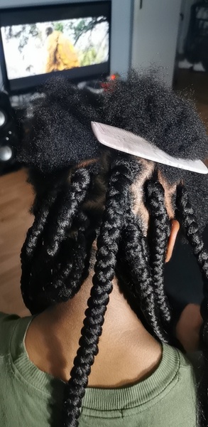 salon de coiffure afro tresse tresses box braids crochet braids vanilles tissages paris 75 77 78 91 92 93 94 95 JZLSSARE