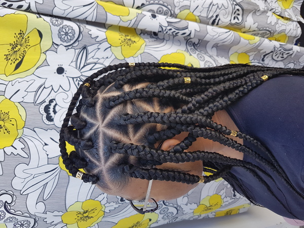 salon de coiffure afro tresse tresses box braids crochet braids vanilles tissages paris 75 77 78 91 92 93 94 95 SKUMWFJC