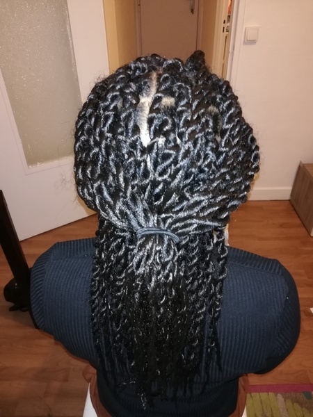 salon de coiffure afro tresse tresses box braids crochet braids vanilles tissages paris 75 77 78 91 92 93 94 95 ZHROZDJI