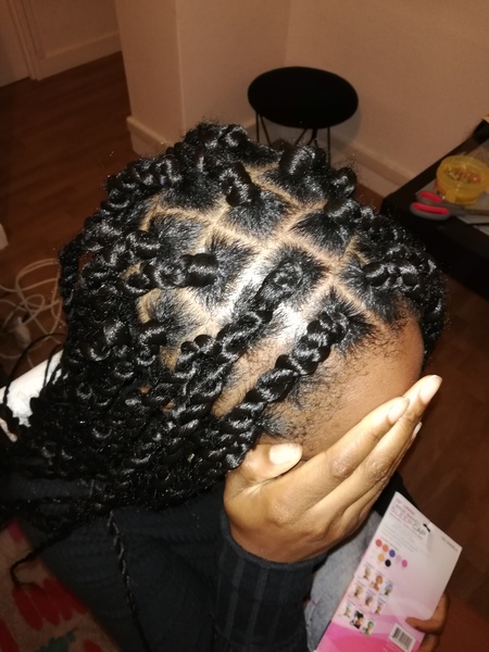 salon de coiffure afro tresse tresses box braids crochet braids vanilles tissages paris 75 77 78 91 92 93 94 95 EBODBJSF