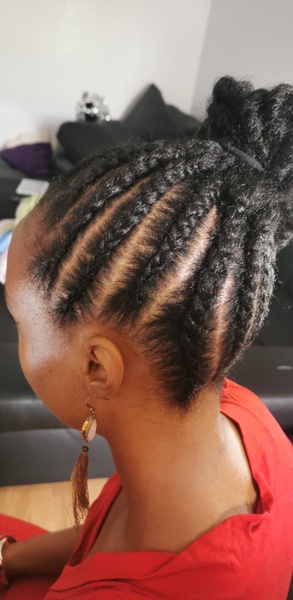 salon de coiffure afro tresse tresses box braids crochet braids vanilles tissages paris 75 77 78 91 92 93 94 95 JDTMBHFA