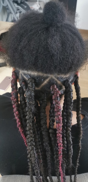 salon de coiffure afro tresse tresses box braids crochet braids vanilles tissages paris 75 77 78 91 92 93 94 95 FFKDLYWA