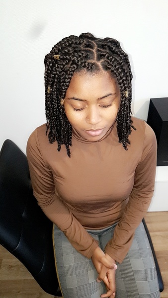 salon de coiffure afro tresse tresses box braids crochet braids vanilles tissages paris 75 77 78 91 92 93 94 95 KNDTXBYQ