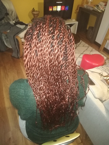 salon de coiffure afro tresse tresses box braids crochet braids vanilles tissages paris 75 77 78 91 92 93 94 95 ASTNGIQK