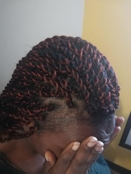 salon de coiffure afro tresse tresses box braids crochet braids vanilles tissages paris 75 77 78 91 92 93 94 95 RJBLUGKA