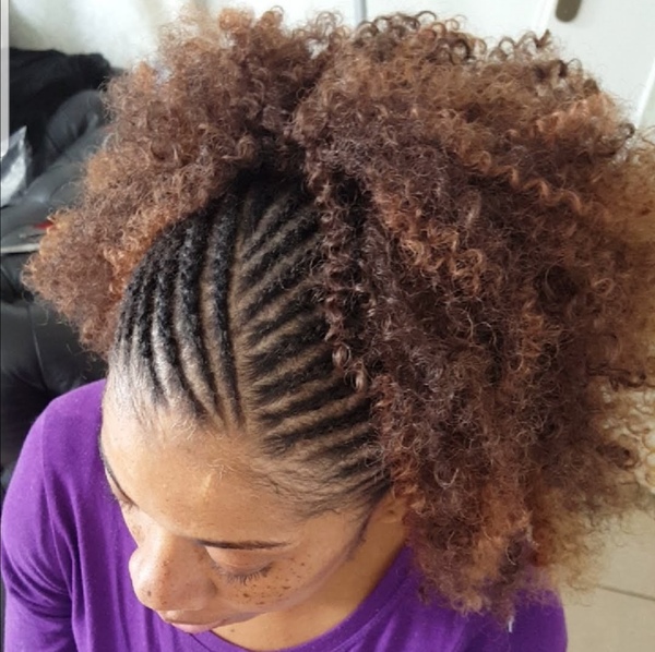 salon de coiffure afro tresse tresses box braids crochet braids vanilles tissages paris 75 77 78 91 92 93 94 95 DXFLFMTZ
