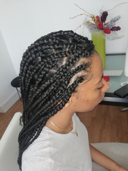 salon de coiffure afro tresse tresses box braids crochet braids vanilles tissages paris 75 77 78 91 92 93 94 95 ZDKRLCLC