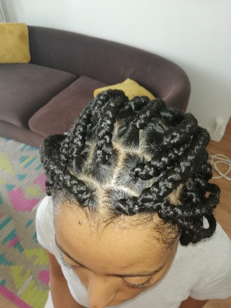 salon de coiffure afro tresse tresses box braids crochet braids vanilles tissages paris 75 77 78 91 92 93 94 95 IMOGDHZN