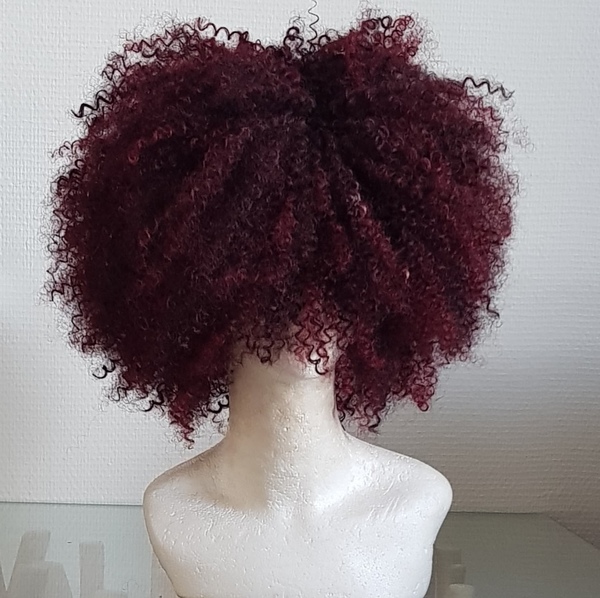 salon de coiffure afro tresse tresses box braids crochet braids vanilles tissages paris 75 77 78 91 92 93 94 95 XZSCQZKF
