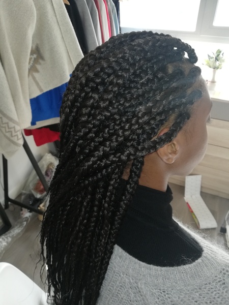 salon de coiffure afro tresse tresses box braids crochet braids vanilles tissages paris 75 77 78 91 92 93 94 95 LAGUPQDY