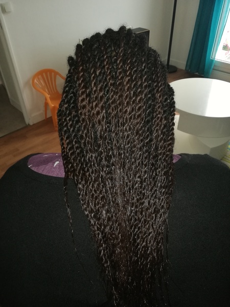 salon de coiffure afro tresse tresses box braids crochet braids vanilles tissages paris 75 77 78 91 92 93 94 95 QXMDUHRN