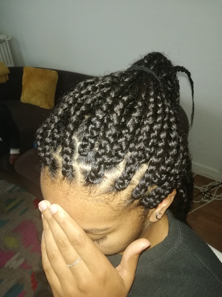 salon de coiffure afro tresse tresses box braids crochet braids vanilles tissages paris 75 77 78 91 92 93 94 95 ULWJIPHD