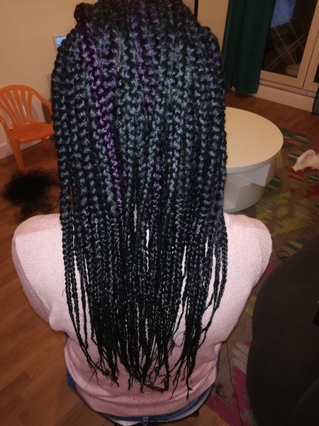 salon de coiffure afro tresse tresses box braids crochet braids vanilles tissages paris 75 77 78 91 92 93 94 95 YIZSNFBI