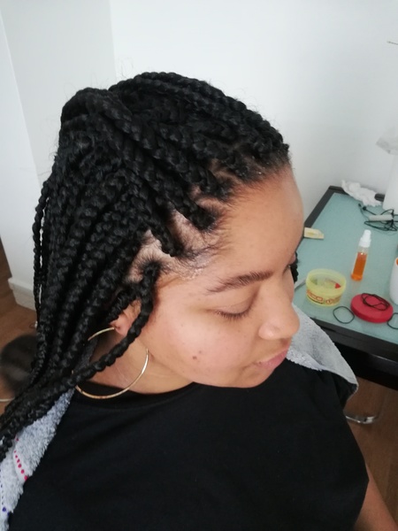 salon de coiffure afro tresse tresses box braids crochet braids vanilles tissages paris 75 77 78 91 92 93 94 95 XPYUCOGR